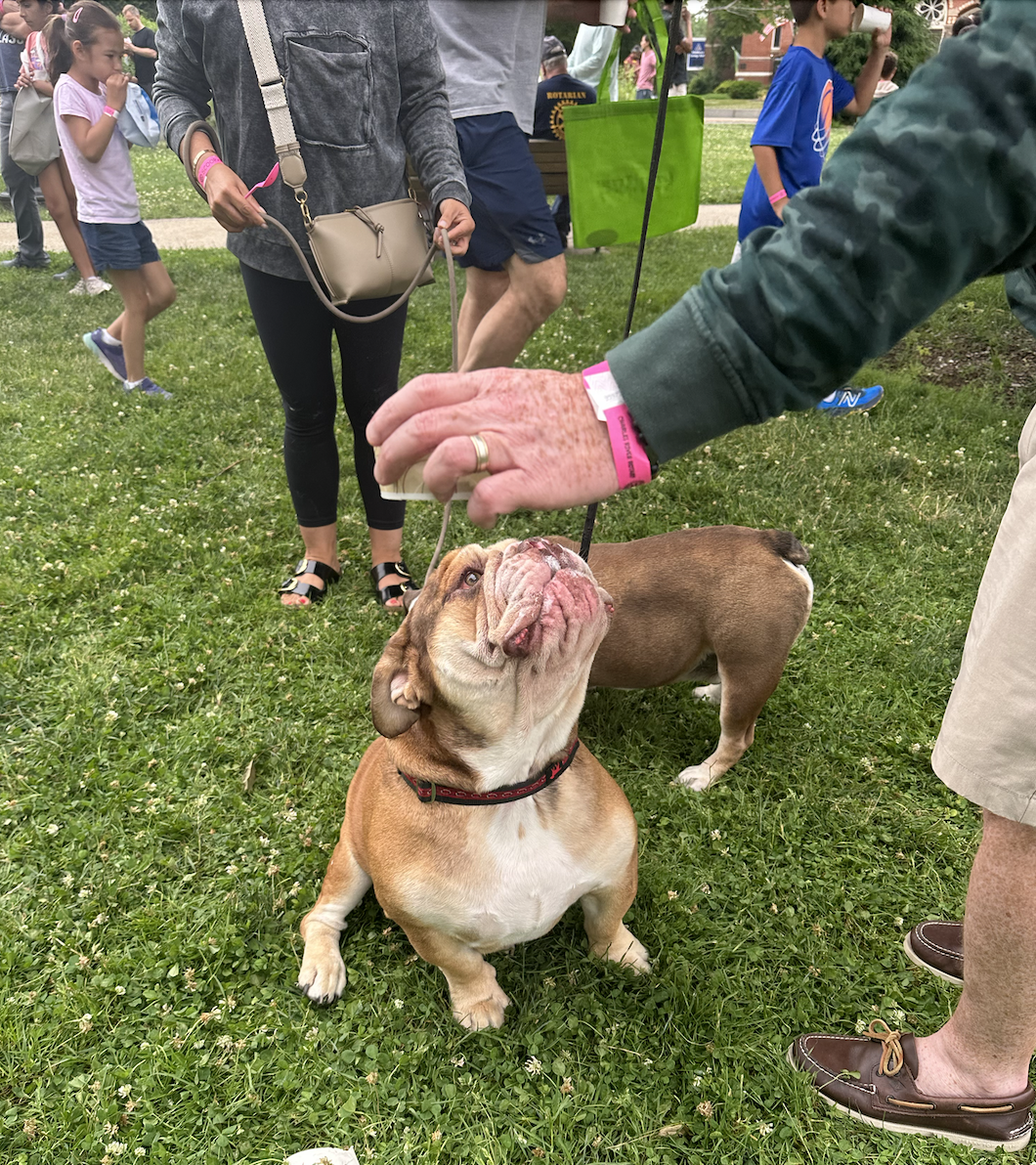 Scoopapalooza Ice Cream Festival